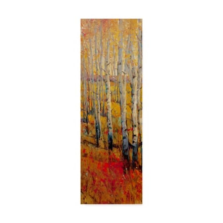 Tim Otoole 'Vivid Birch Forest I' Canvas Art,6x19